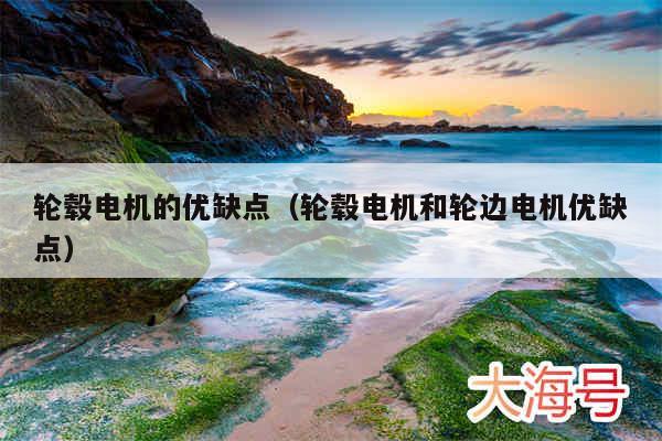 轮毂电机的优缺点(轮毂电机和轮边电机优缺点)