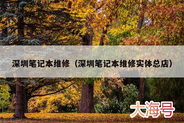 深圳笔记本维修(深圳笔记本维修实体总店)