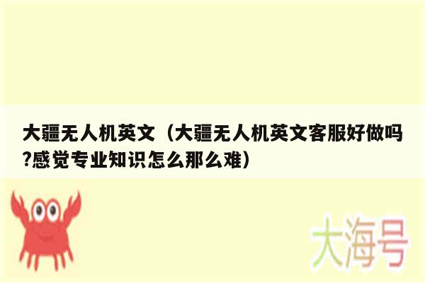 大疆无人机英文(大疆无人机英文客服好做吗?感觉专业知识怎么那么难)