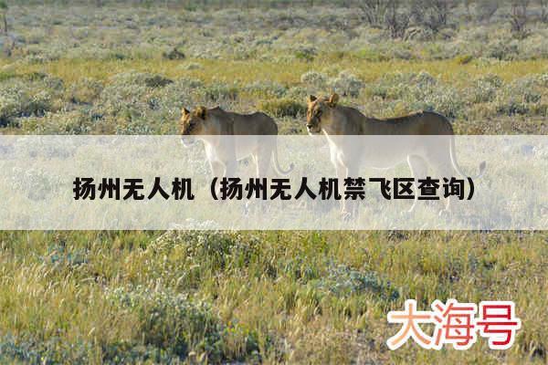 扬州无人机(扬州无人机禁飞区查询)