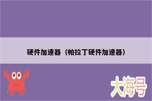 硬件加速器(帕拉丁硬件加速器)