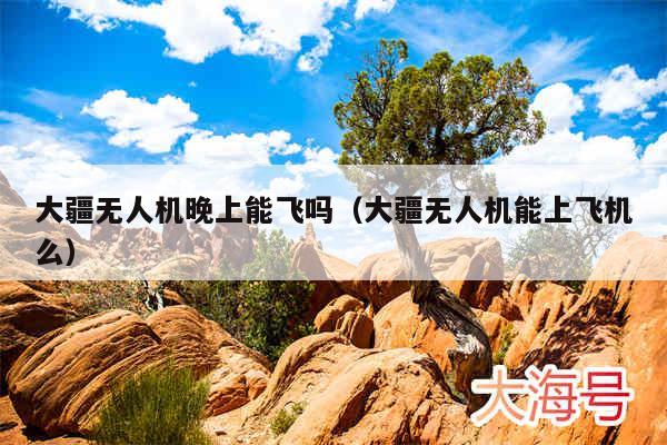 大疆无人机晚上能飞吗(大疆无人机能上飞机么)