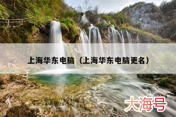 上海华东电脑(上海华东电脑更名)