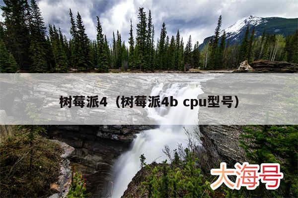 树莓派4(树莓派4b cpu型号)