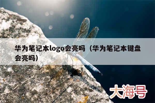 华为笔记本logo会亮吗(华为笔记本键盘会亮吗)