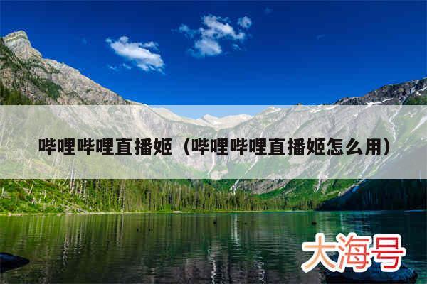 哔哩哔哩直播姬(哔哩哔哩直播姬怎么用)