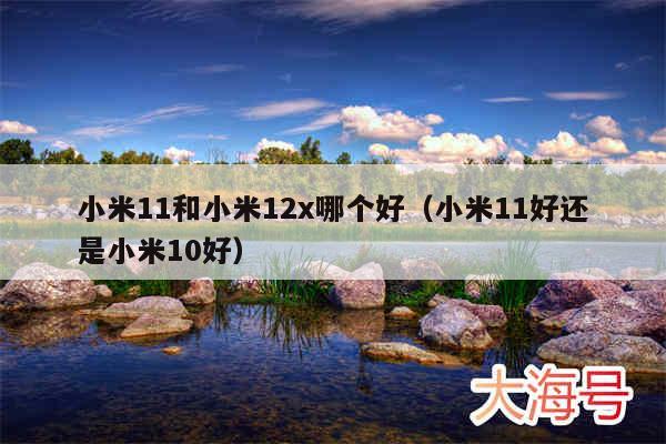 小米11和小米12x哪个好(小米11好还是小米10好)