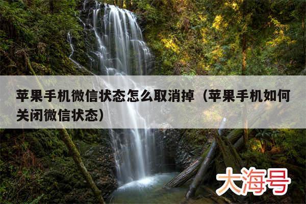 苹果手机微信状态怎么取消掉(苹果手机如何关闭微信状态)
