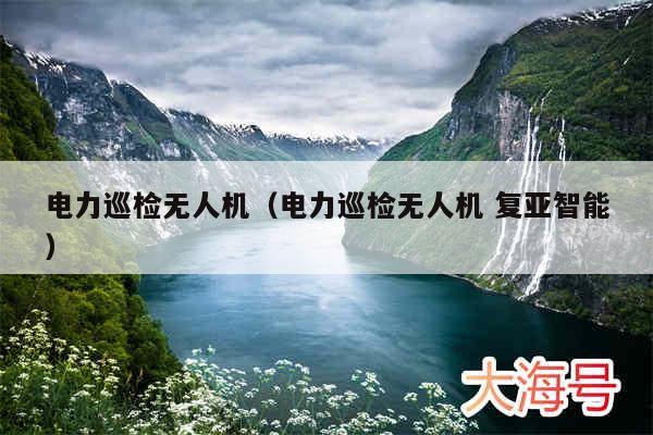 电力巡检无人机(电力巡检无人机 复亚智能)