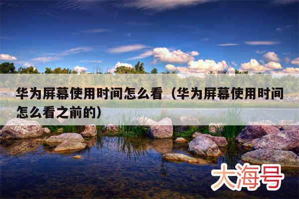 华为屏幕使用时间怎么看(华为屏幕使用时间怎么看之前的)