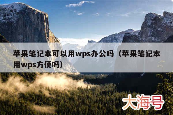 苹果笔记本可以用wps办公吗(苹果笔记本用wps方便吗)