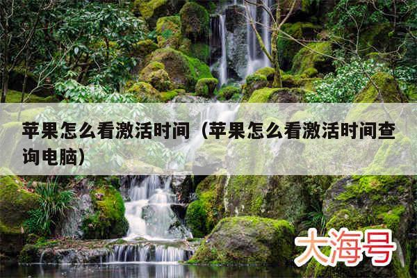 苹果怎么看激活时间(苹果怎么看激活时间查询电脑)