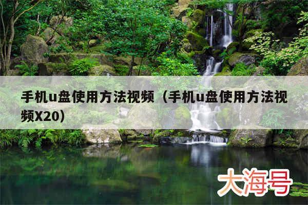 手机u盘使用方法视频（手机u盘使用方法视频X20）