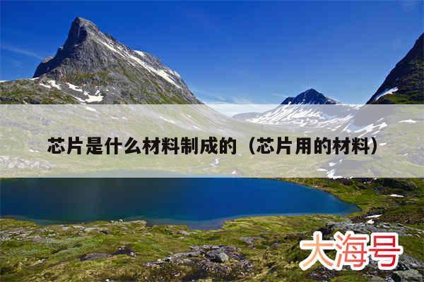 芯片是什么材料制成的（芯片用的材料）