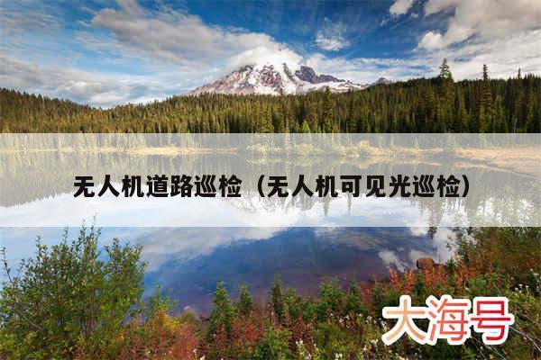 无人机道路巡检（无人机可见光巡检）