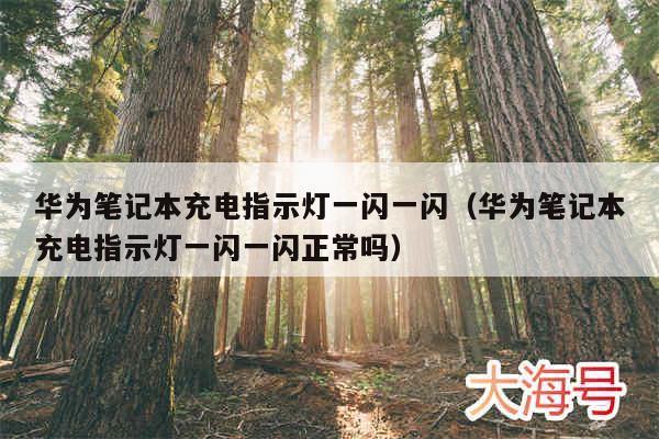 华为笔记本充电指示灯一闪一闪（华为笔记本充电指示灯一闪一闪正常吗）