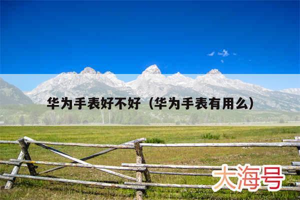 华为手表好不好(华为手表有用么)