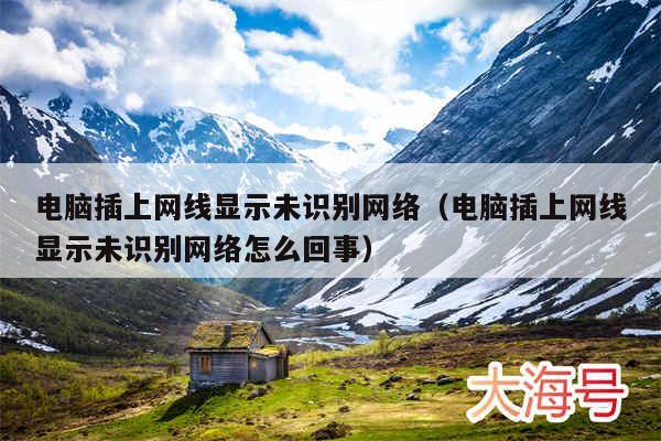 电脑插上网线显示未识别网络(电脑插上网线显示未识别网络怎么回事)