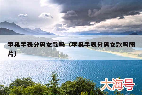 苹果手表分男女款吗(苹果手表分男女款吗图片)