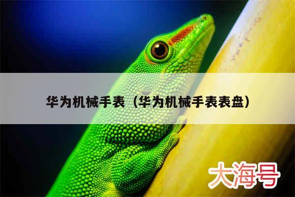 华为机械手表(华为机械手表表盘)