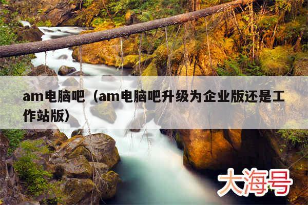 am电脑吧（am电脑吧升级为企业版还是工作站版）