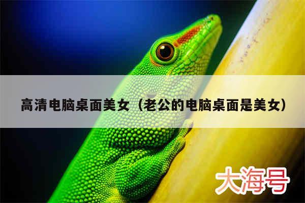 高清电脑桌面美女(老公的电脑桌面是美女)