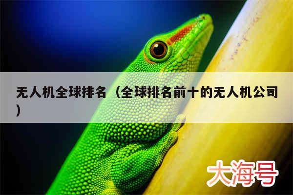 无人机全球排名（全球排名前十的无人机公司）