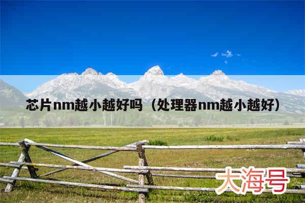 芯片nm越小越好吗（处理器nm越小越好）