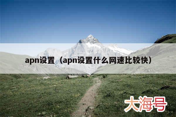 apn设置(apn设置什么网速比较快)