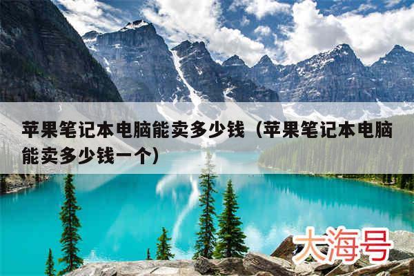 苹果笔记本电脑能卖多少钱（苹果笔记本电脑能卖多少钱一个）