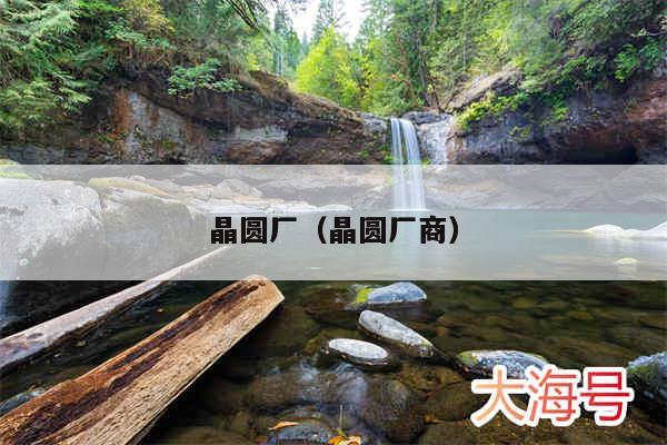 晶圆厂（晶圆厂商）