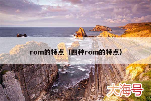 rom的特点(四种rom的特点)
