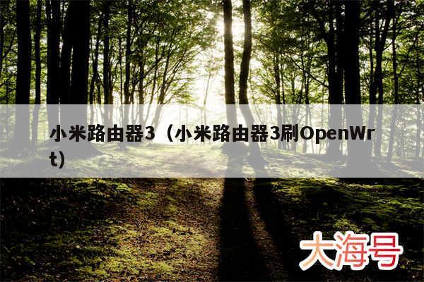 小米路由器3（小米路由器3刷OpenWrt）