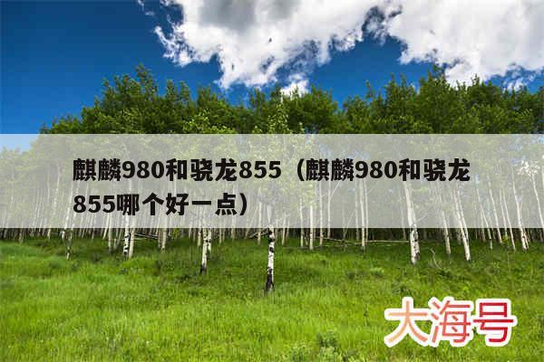 麒麟980和骁龙855(麒麟980和骁龙855哪个好一点)
