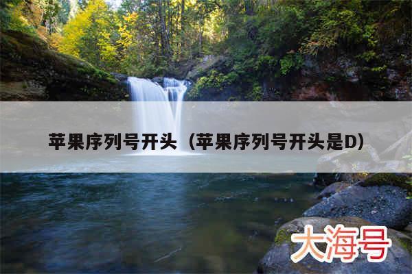 苹果序列号开头(苹果序列号开头是D)