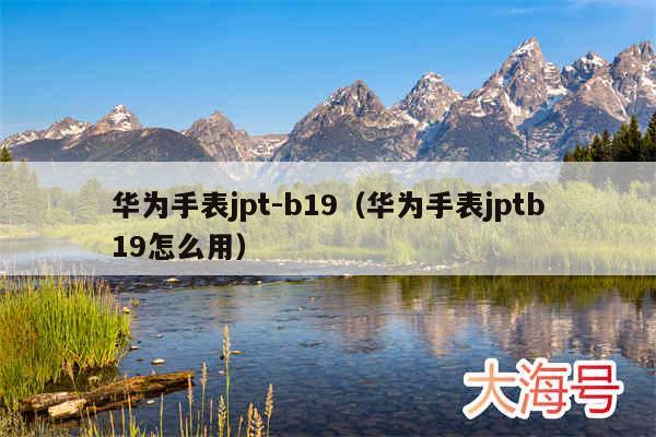 华为手表jpt-b19(华为手表jptb19怎么用)