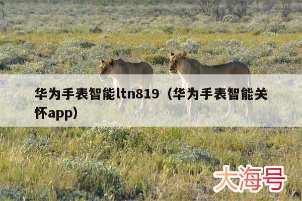 华为手表智能ltn819(华为手表智能关怀app)
