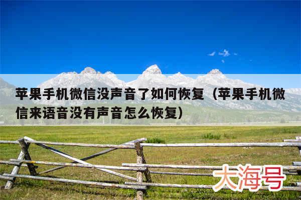 苹果手机微信没声音了如何恢复（苹果手机微信来语音没有声音怎么恢复）