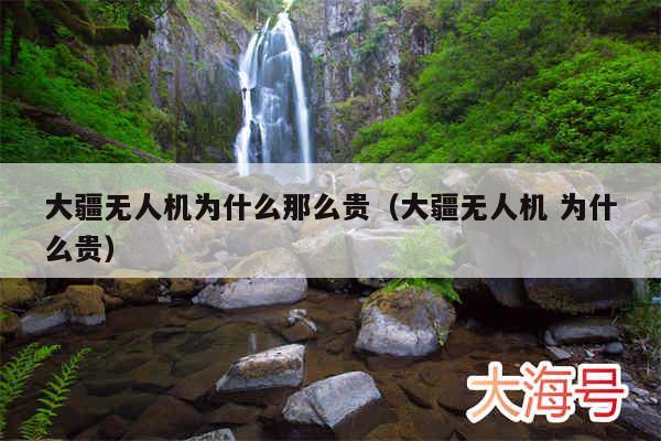 大疆无人机为什么那么贵(大疆无人机 为什么贵)