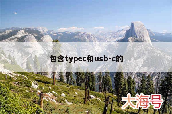 包含typec和usb-c的