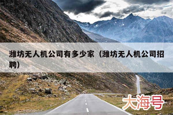 潍坊无人机公司有多少家(潍坊无人机公司招聘)