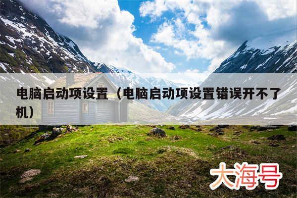 电脑启动项设置（电脑启动项设置错误开不了机）