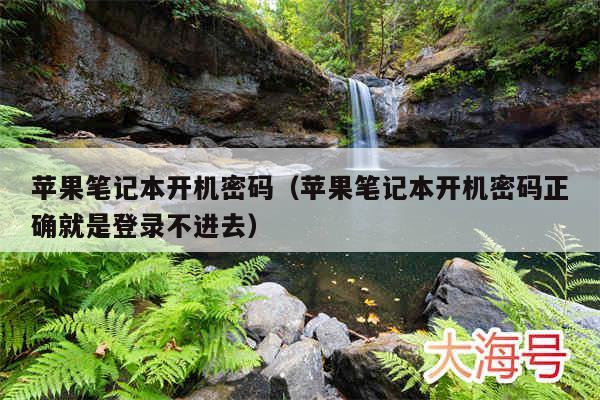 苹果笔记本开机密码（苹果笔记本开机密码正确就是登录不进去）