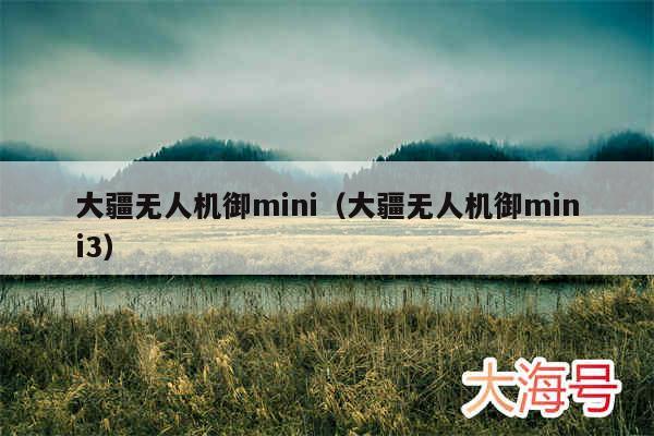 大疆无人机御mini(大疆无人机御mini3)