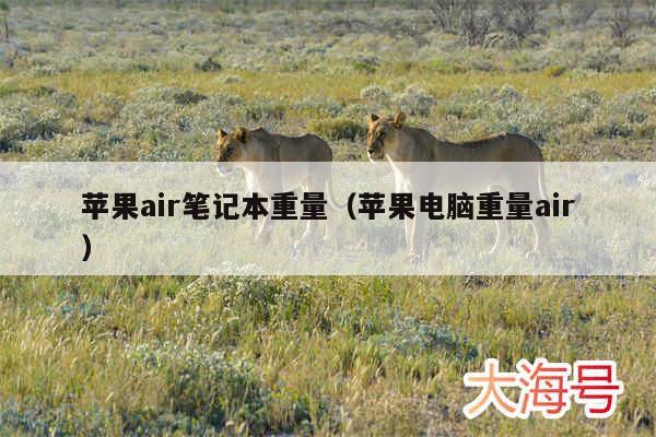 苹果air笔记本重量(苹果电脑重量air)