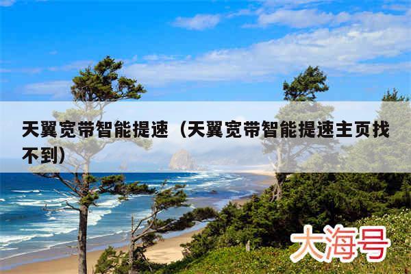 天翼宽带智能提速(天翼宽带智能提速主页找不到)