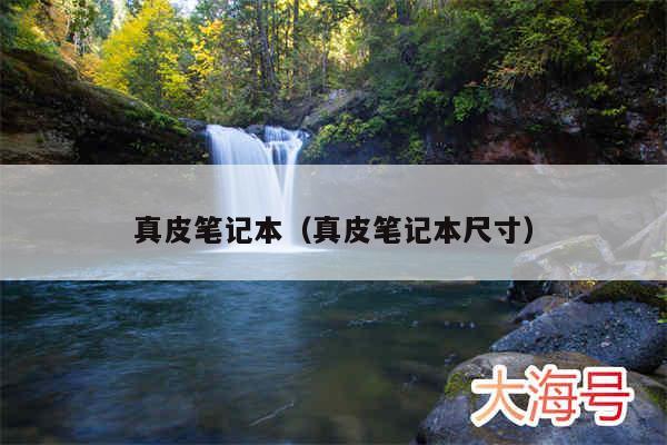 真皮笔记本（真皮笔记本尺寸）