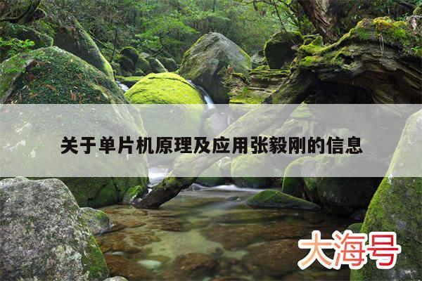 关于单片机原理及应用张毅刚的信息