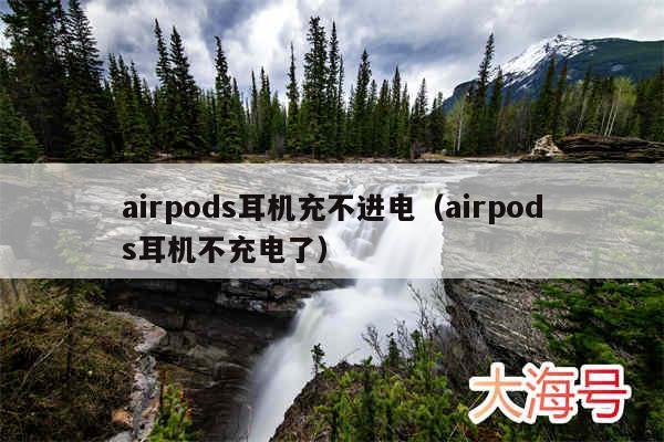airpods耳机充不进电（airpods耳机不充电了）
