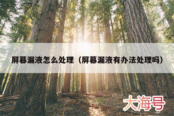 屏幕漏液怎么处理(屏幕漏液有办法处理吗)